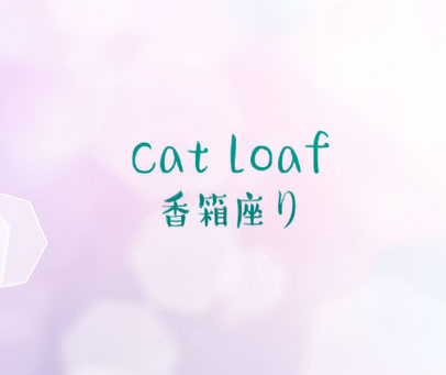 香箱座 CAT LOAF