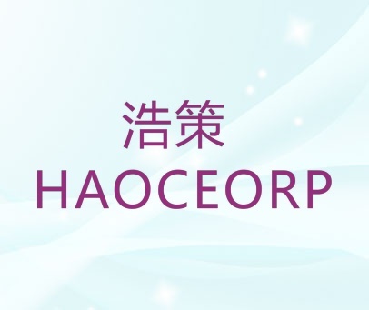 浩策 HAOCEORP