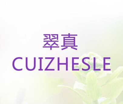 翠真 CUIZHESLE