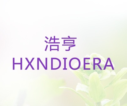 浩亨 HXNDIOERA