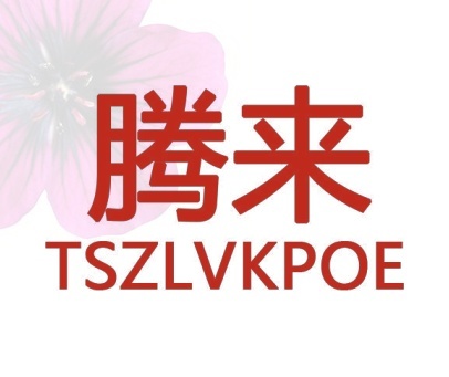 腾来 TSZLVKPOE