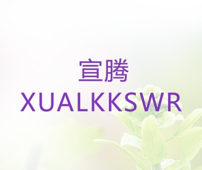 宣腾 XUALKKSWR