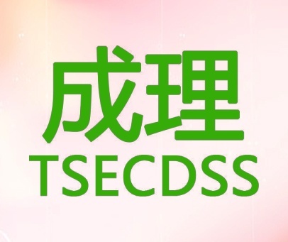 成理 TSECDSS