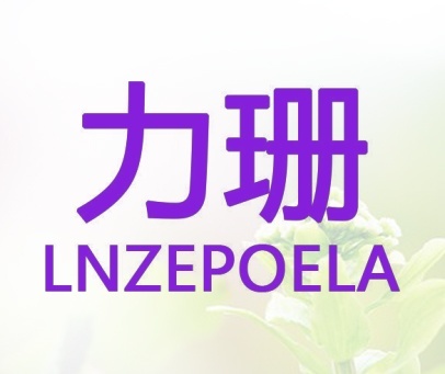 力珊  LNZEPOELA