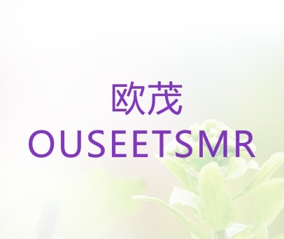 欧茂 OUSEETSMR