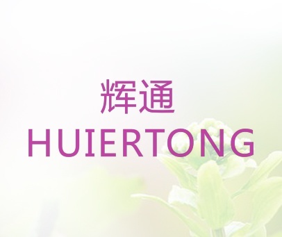 辉通  HUIERTONG