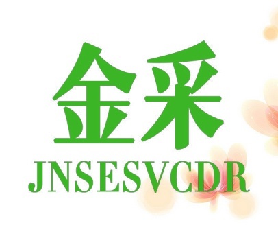 金采 JNSESVCDR